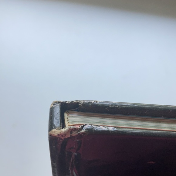 Animal Kingdom Hardback Book - Picture 14 of 16